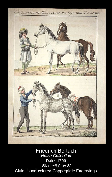 Bertuch Antique Horse Prints