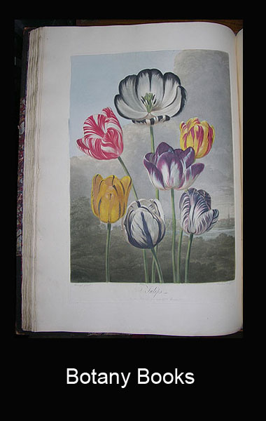 Vasari Gallery Rare Botany Books