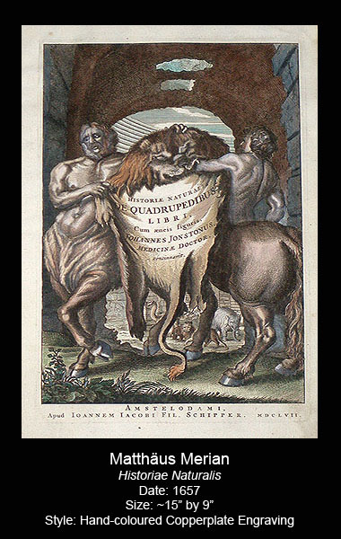 Vasari Fine Art Gallery. Antique Mammals & Quadrupeds Prints